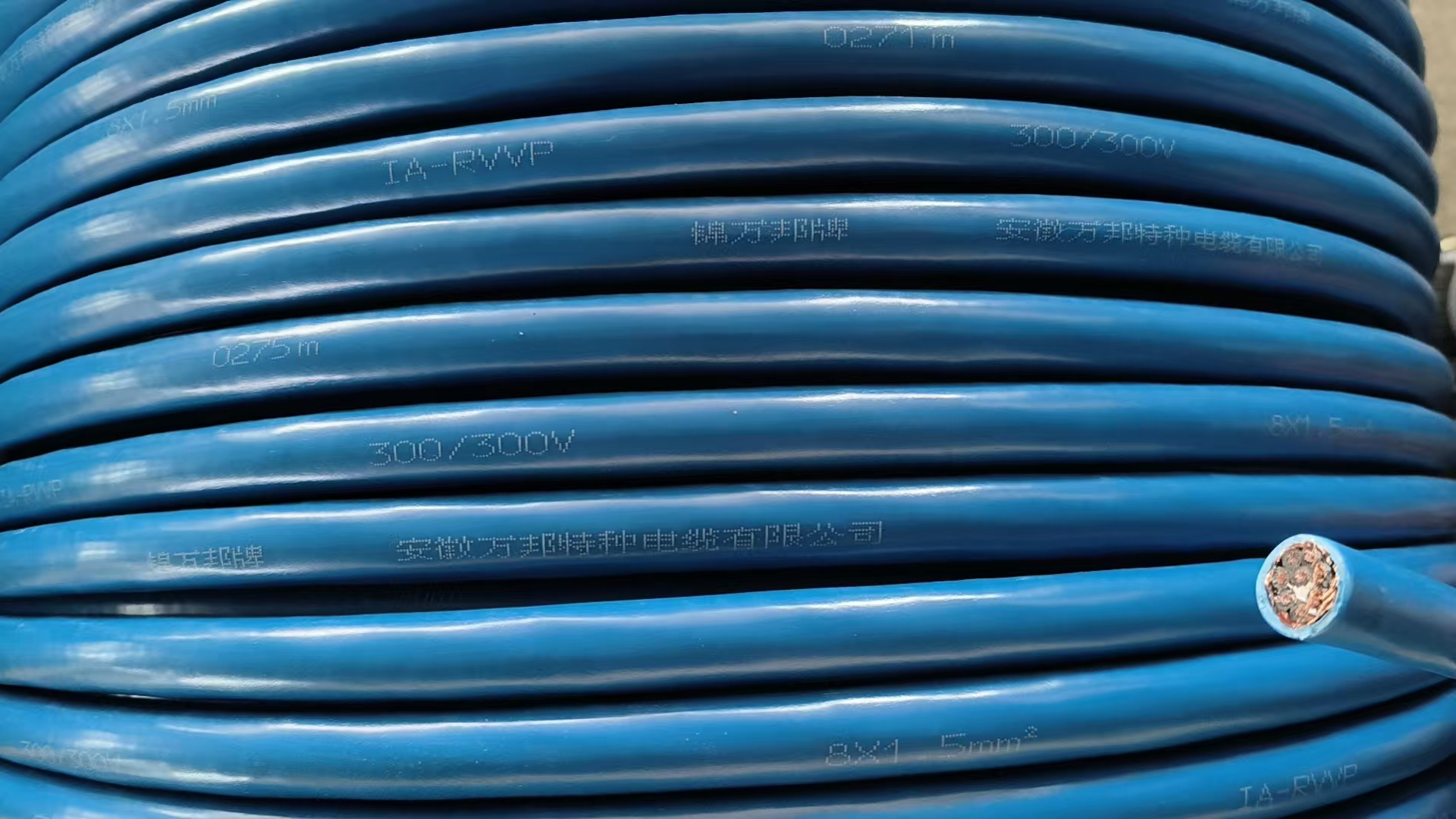 本安防爆电缆IA-RVVP 300/300V 8*1.5mm²