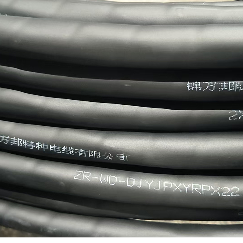 ZR-WD-DJYJPXYRPX22  2*2*1.5mm²阻燃电缆