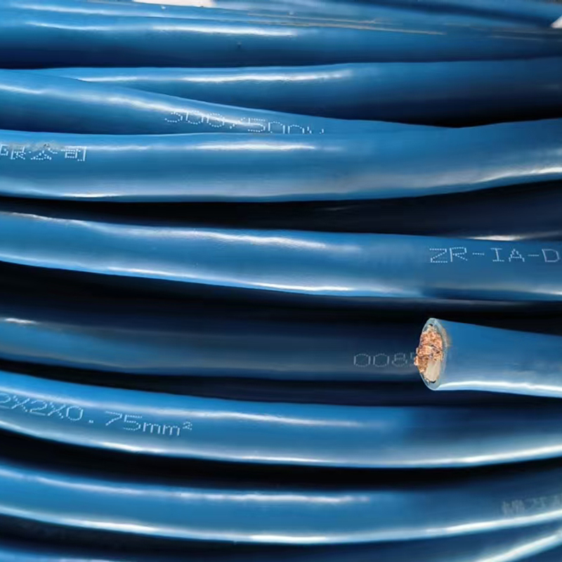 ZR-IA-DJYPVPR 2*2*0.75MM² 特种电缆