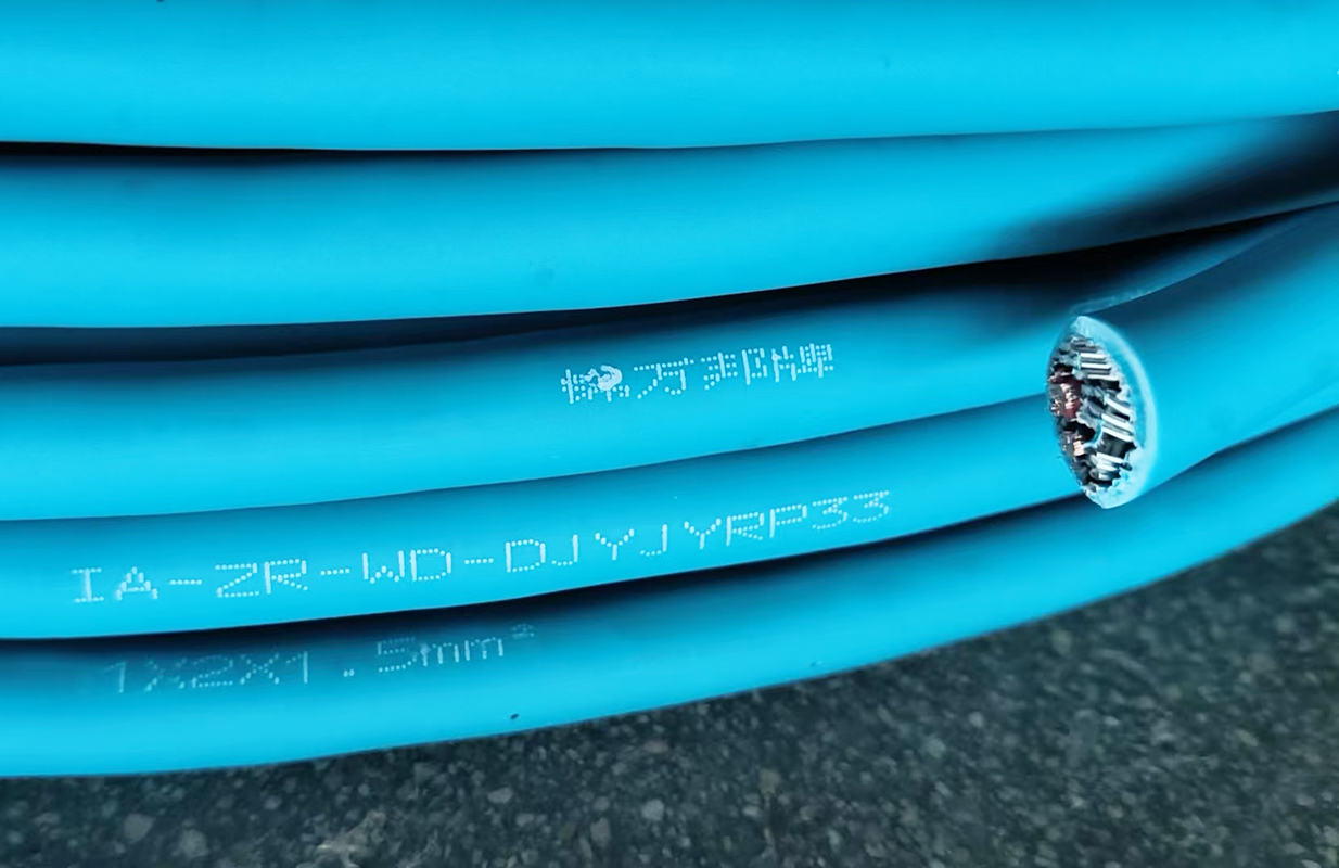 IA-ZR-WD-DJYJYRP33本安电缆