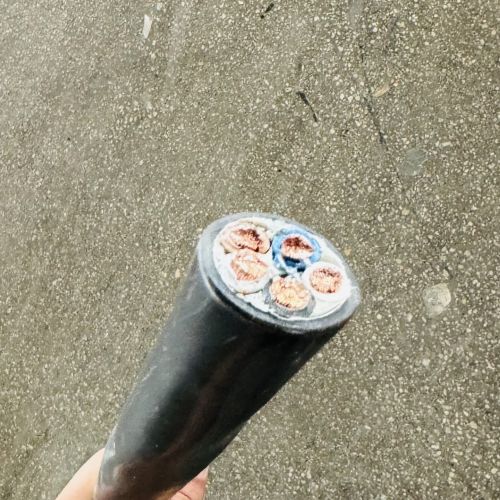 ZA-YFFP22耐寒丁腈电缆